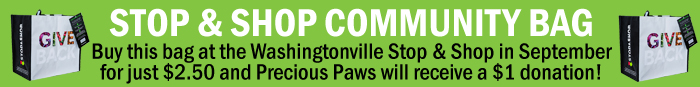 Stop & Shop Community Bag